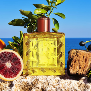 Premium Men’s Citrus Woody Eau de Parfum 100ml – Custom Logo Available, Fresh Citrus & Warm Wood Scent
